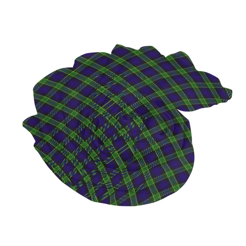 Clan Barnes Tartan Chiffon Scarf