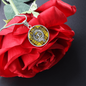Clan MacLeod Crest & Tartan Pendant Necklace
