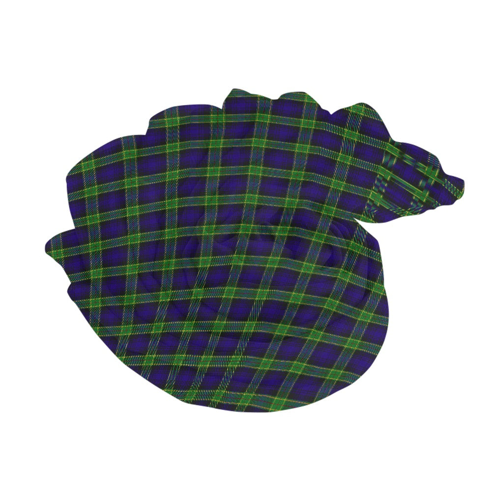 Clan Barnes Tartan Chiffon Scarf