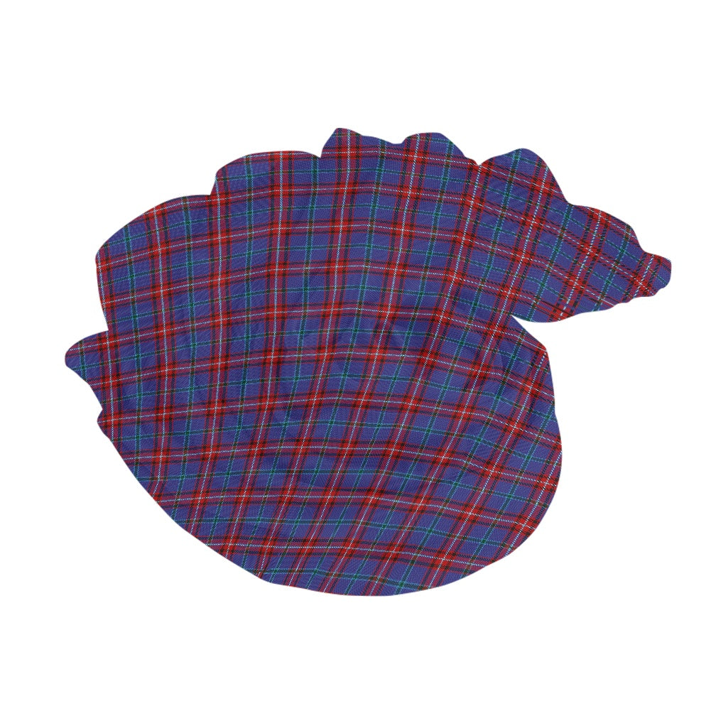 Clan Glenn Tartan Chiffon Scarf