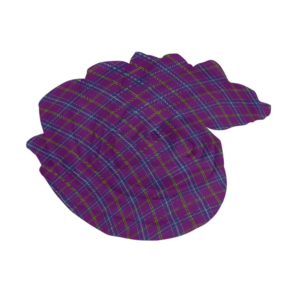 Clan Jackson Tartan Bias Chiffon Scarf