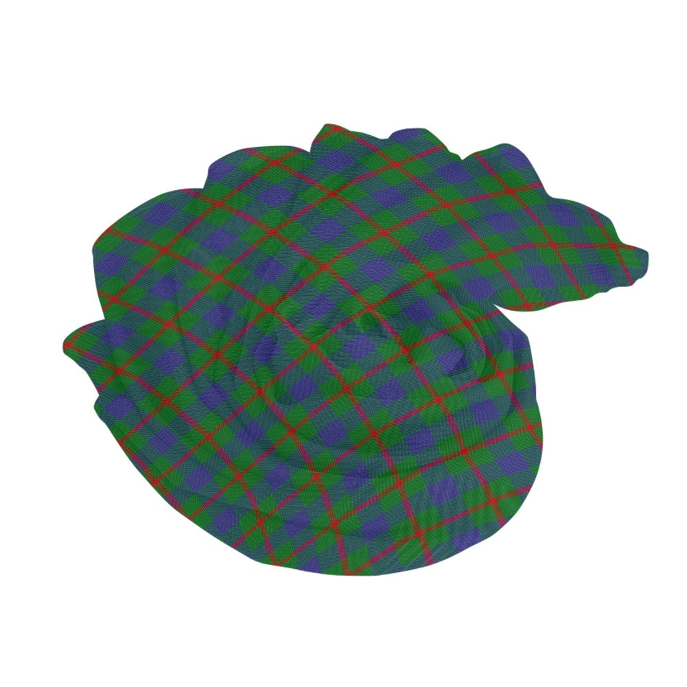 Clan Agnew Tartan Bias Chiffon Scarf