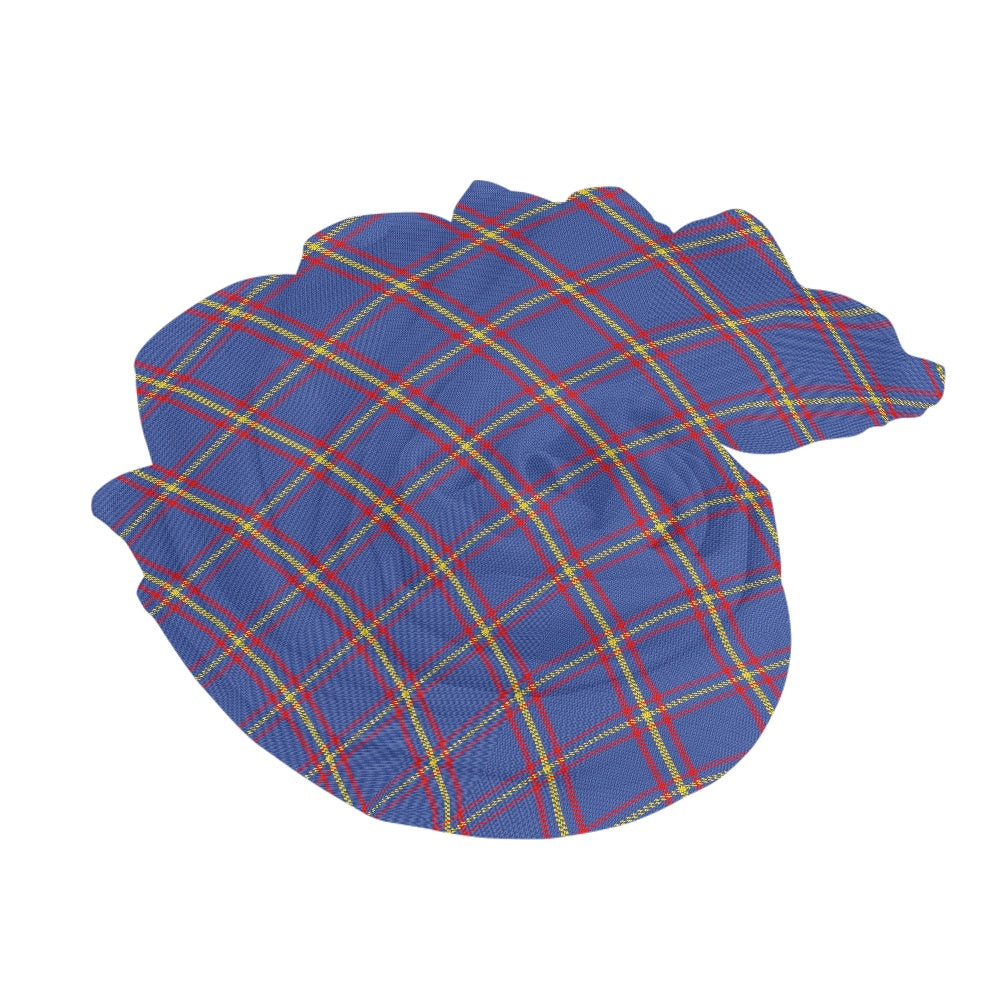 Clan MacLaine Tartan Bias Chiffon Scarf