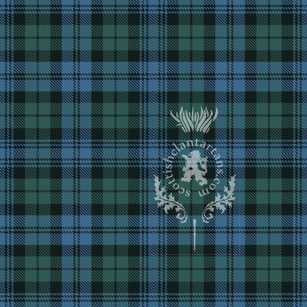 Digital Download - Clan Campbell Colour Match Tartan 12" 300dpi PNG