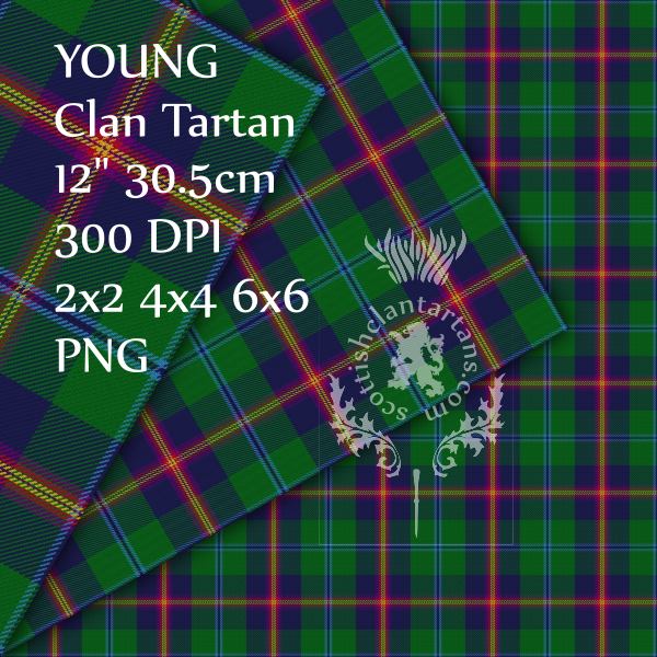 Digital Download - Clan Young Tartan 12" 300dpi PNG