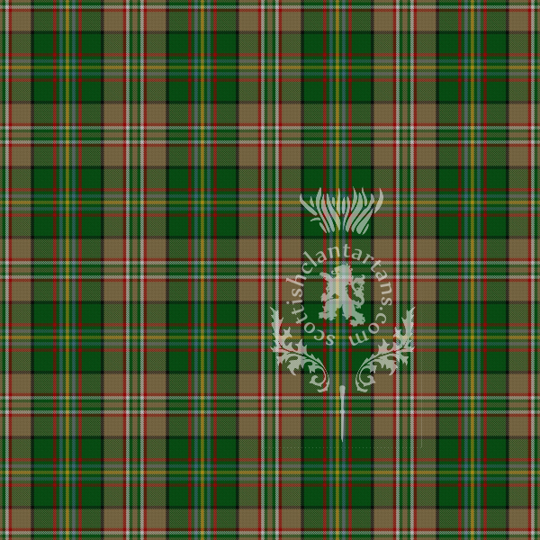 Digital Download - US State Tartan - Arizona 12" 300dpi PNG