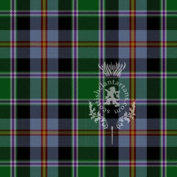 Digital Download - US State Tartan - Colorado 12" 300dpi PNG