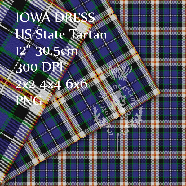 Digital Download - US State Tartan - Iowa 12" 300dpi PNG