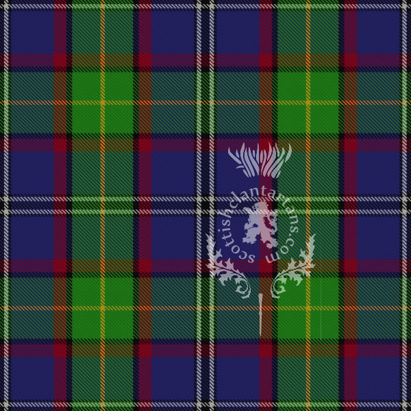 Digital Download - US State Tartan - Minnesota 12" 300dpi PNG