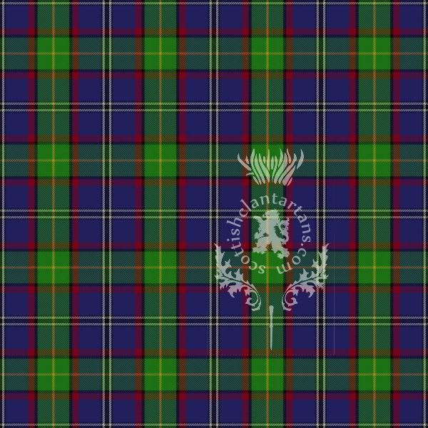 Digital Download - US State Tartan - Minnesota 12" 300dpi PNG