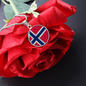 Norwegian Flag Necklace