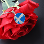 Shetland Flag Necklace