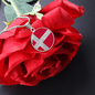 Danish Flag Necklace