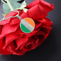Irish Flag Necklace