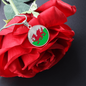 Welsh Flag Necklace