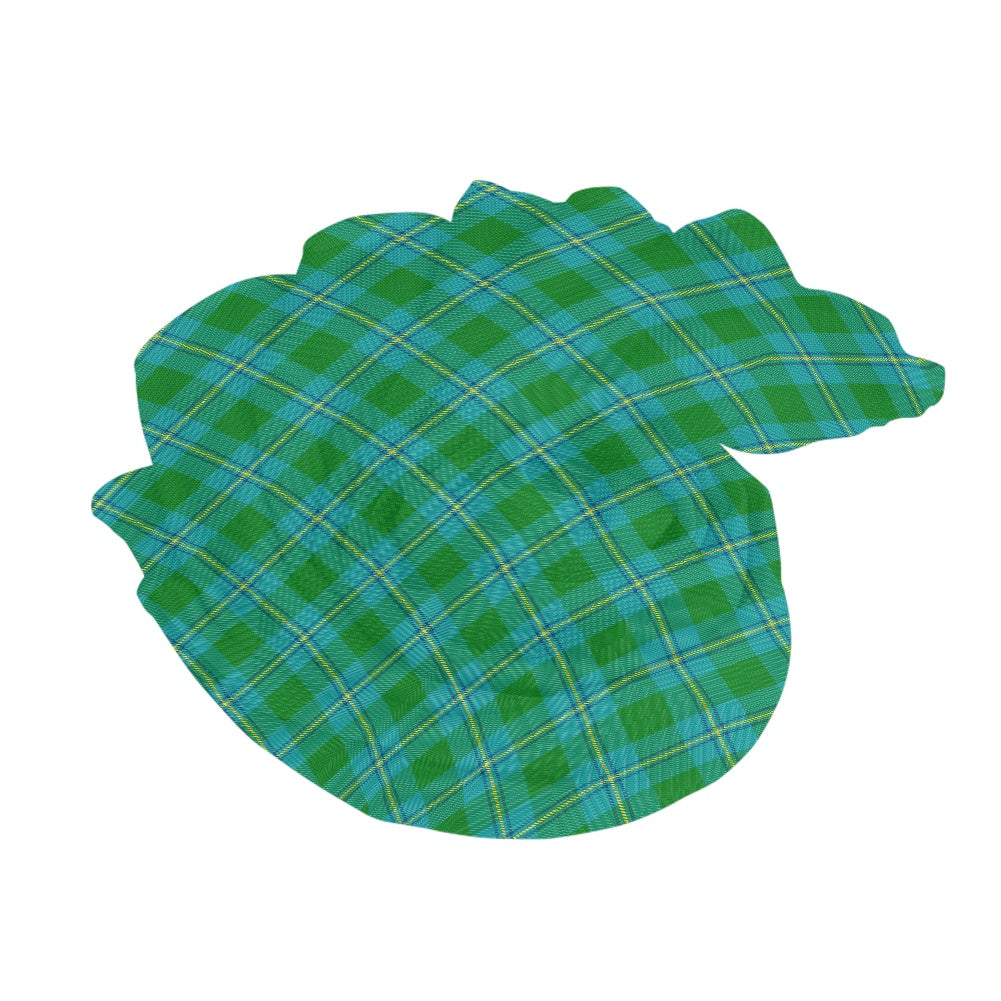 Clan Irving Tartan Bias Chiffon Scarf