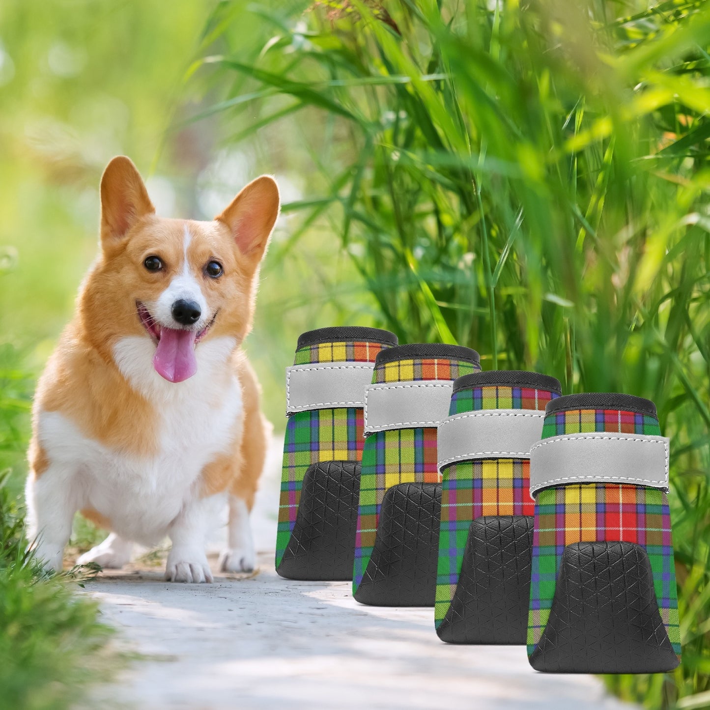 Clan Buchanan Pet Booties for Dogs